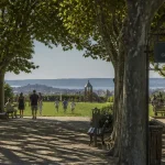 Jardin Guy Azaïs à Marseille, pelouse centrale sous platanes
