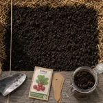 Comment faire un potager quand on débute : potager en carré et récolte